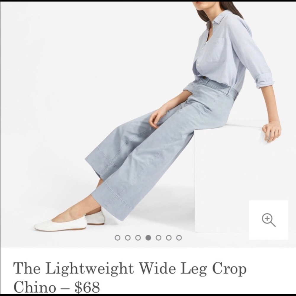 Everlane Lightweight Wide Leg Crop Chino